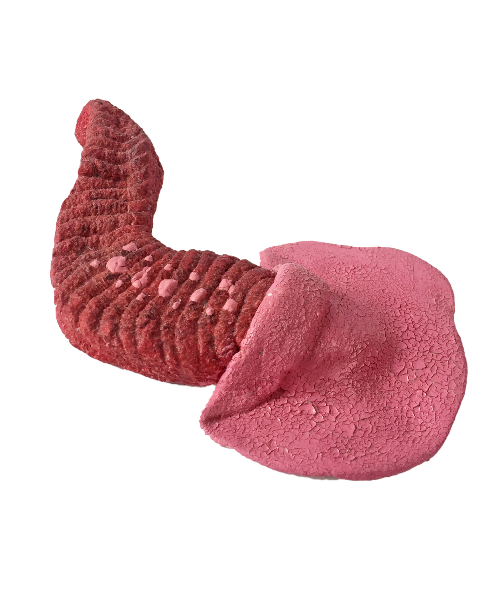 Worm